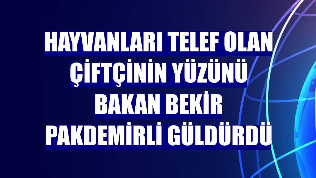 Hayvanları telef olan çiftçinin yüzünü Bakan Bekir Pakdemirli güldürdü