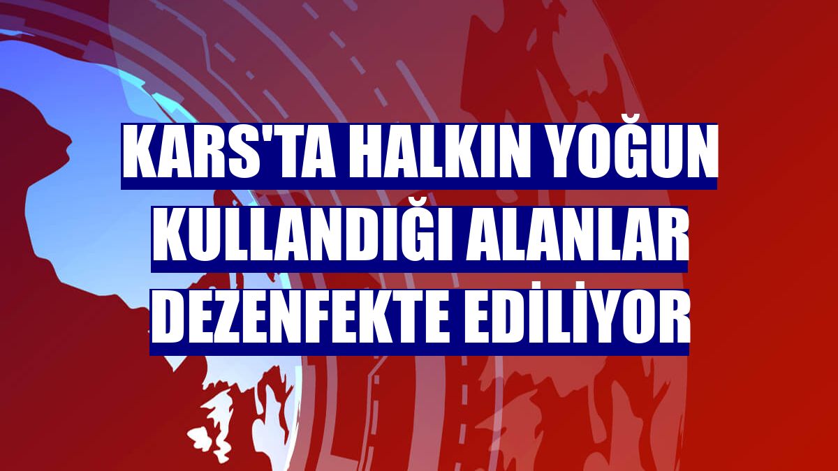 Kars'ta halkın yoğun kullandığı alanlar dezenfekte ediliyor