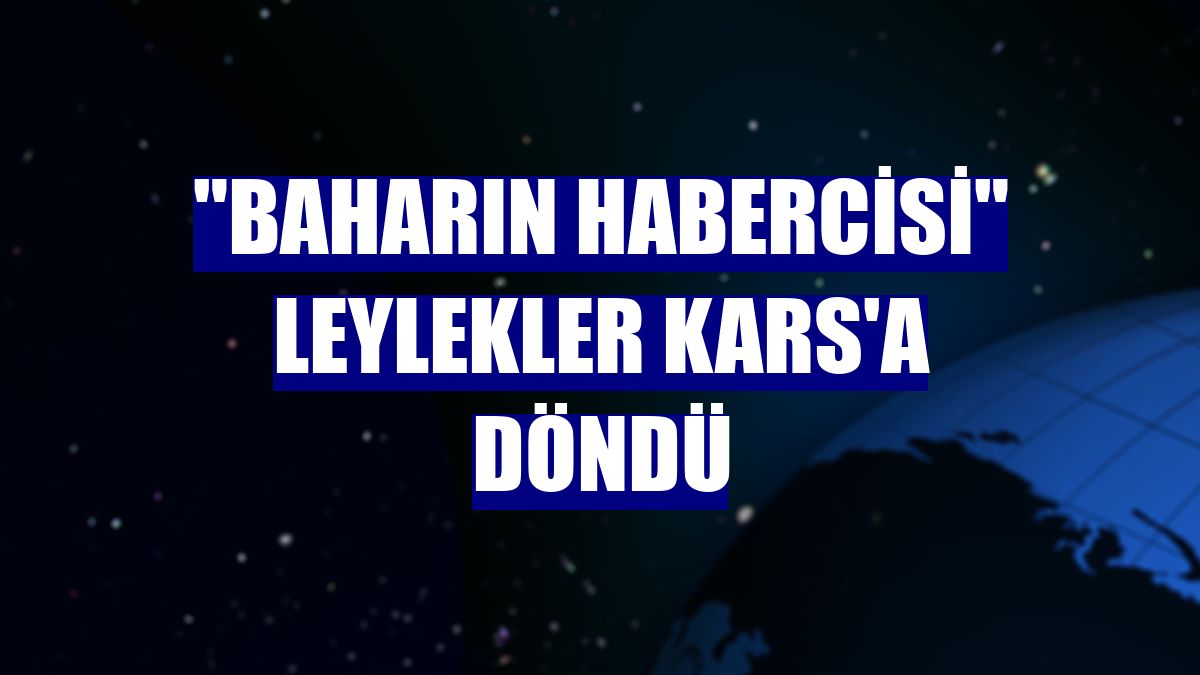 "Baharın habercisi" leylekler Kars'a döndü