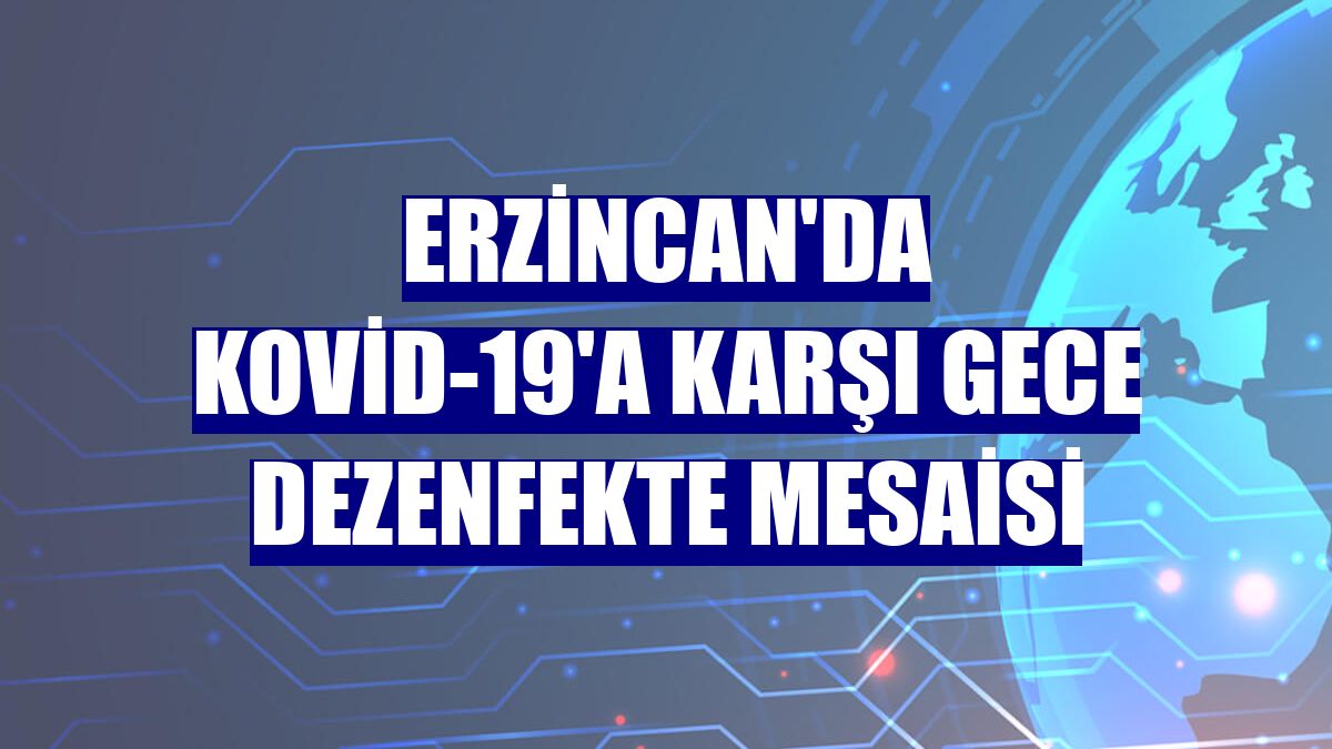 Erzincan'da Kovid-19'a karşı gece dezenfekte mesaisi