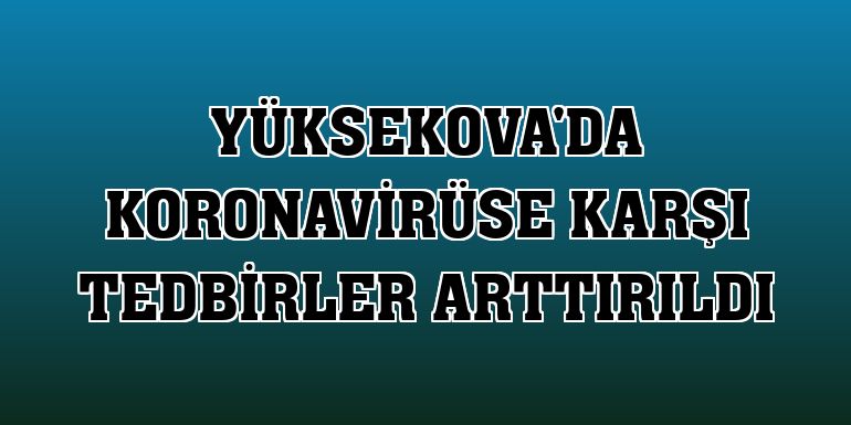 Yüksekova'da koronavirüse karşı tedbirler arttırıldı