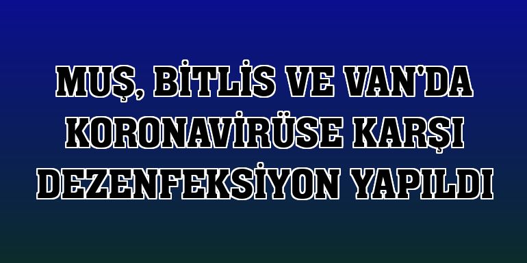 Muş, Bitlis ve Van'da koronavirüse karşı dezenfeksiyon yapıldı