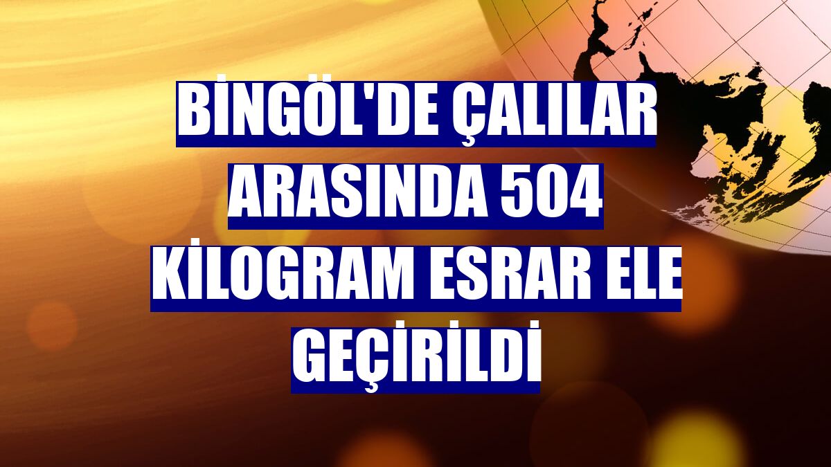 Bingöl'de çalılar arasında 504 kilogram esrar ele geçirildi