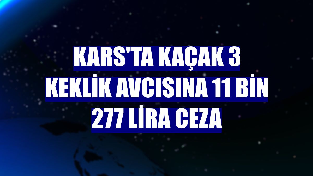 Kars'ta kaçak 3 keklik avcısına 11 bin 277 lira ceza
