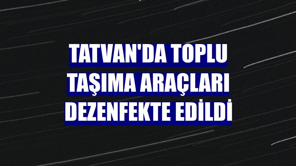 Tatvan'da toplu taşıma araçları dezenfekte edildi