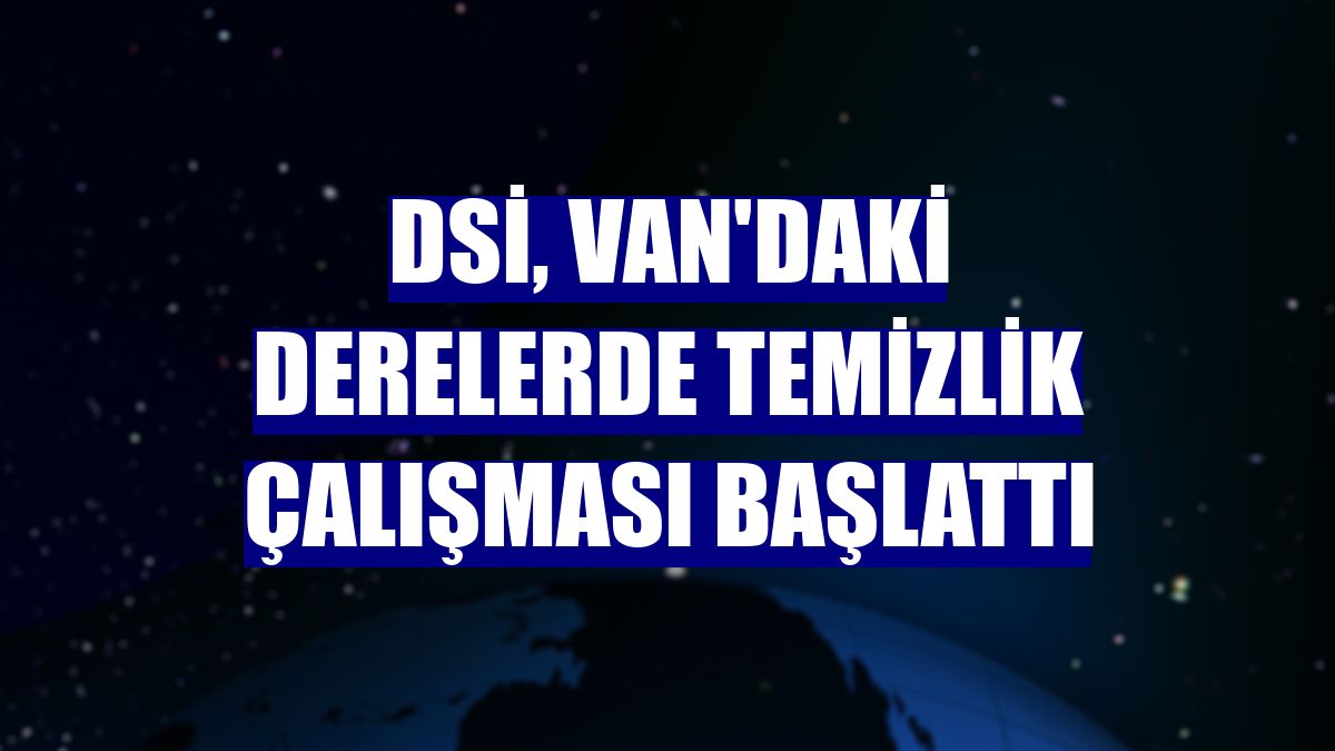 DSİ, Van'daki derelerde temizlik çalışması başlattı