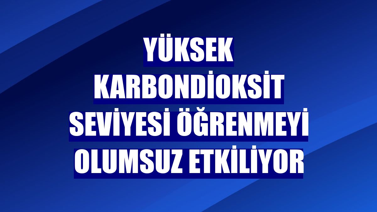 Yüksek karbondioksit seviyesi öğrenmeyi olumsuz etkiliyor