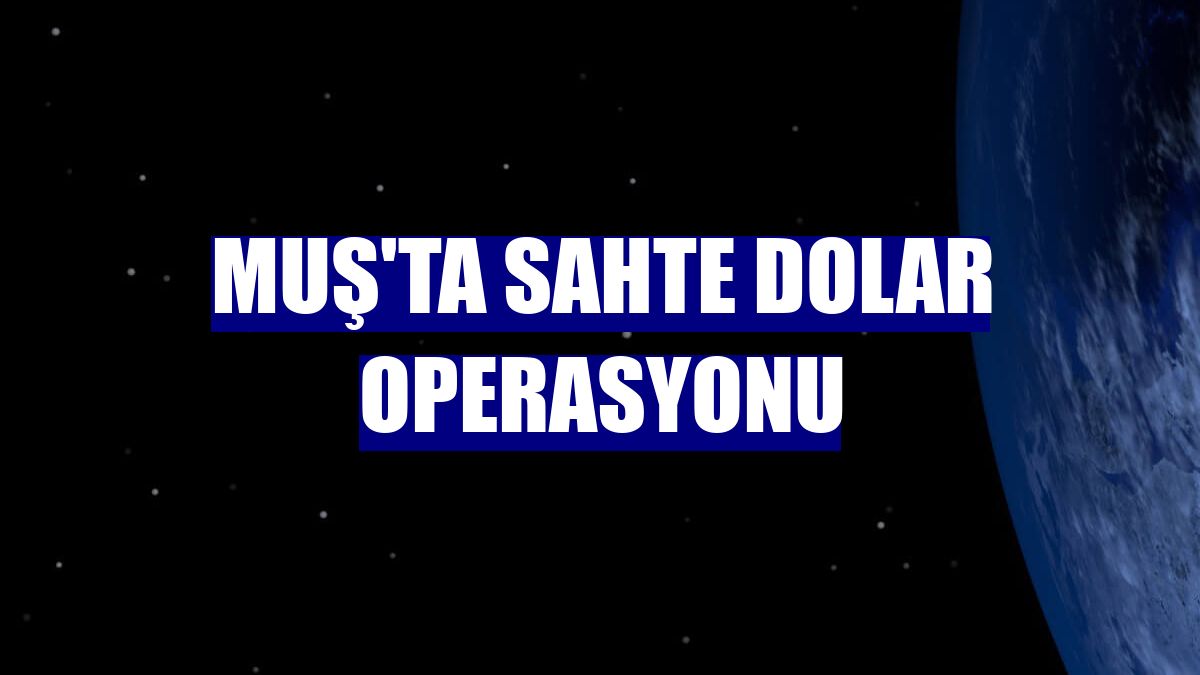 Muş'ta sahte dolar operasyonu