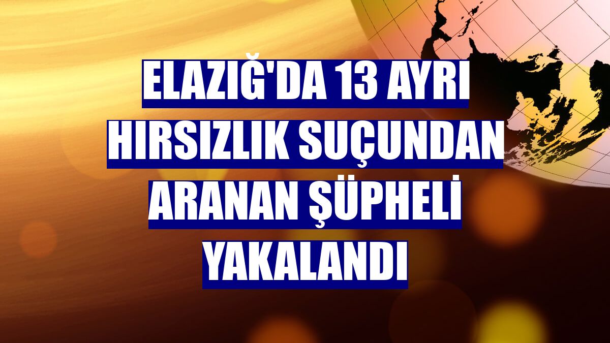 Elazığ'da 13 ayrı hırsızlık suçundan aranan şüpheli yakalandı