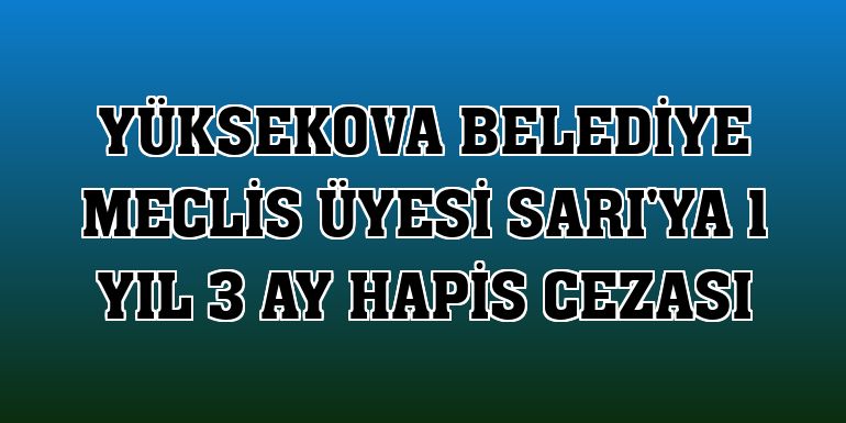 Yüksekova Belediye Meclis Üyesi Sarı'ya 1 yıl 3 ay hapis cezası
