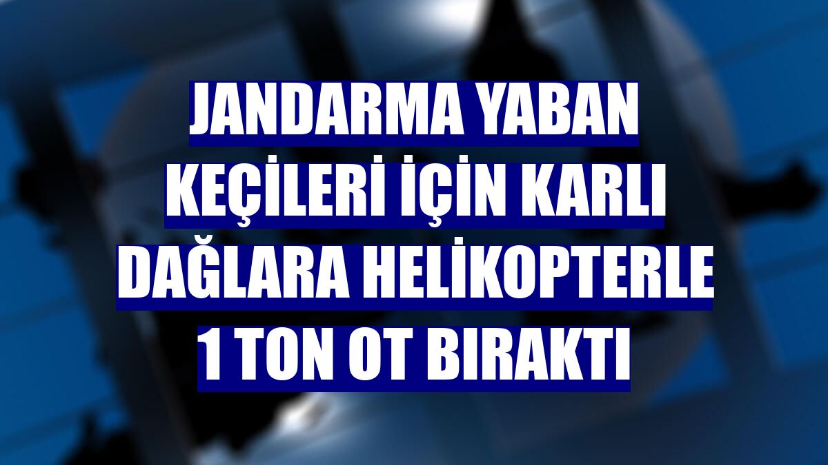 Jandarma yaban keçileri için karlı dağlara helikopterle 1 ton ot bıraktı