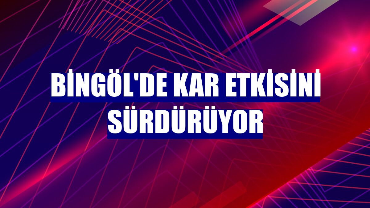 Bingöl'de kar etkisini sürdürüyor