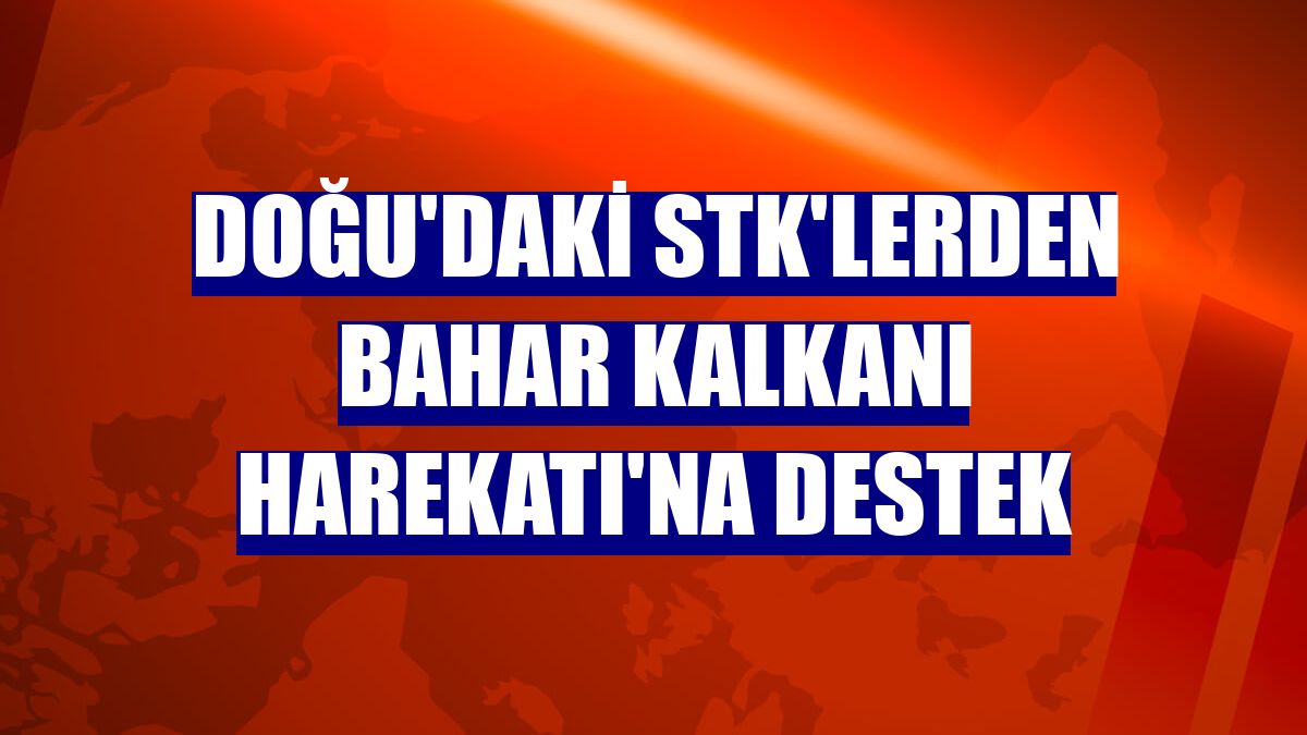 Doğu'daki STK'lerden Bahar Kalkanı Harekatı'na destek