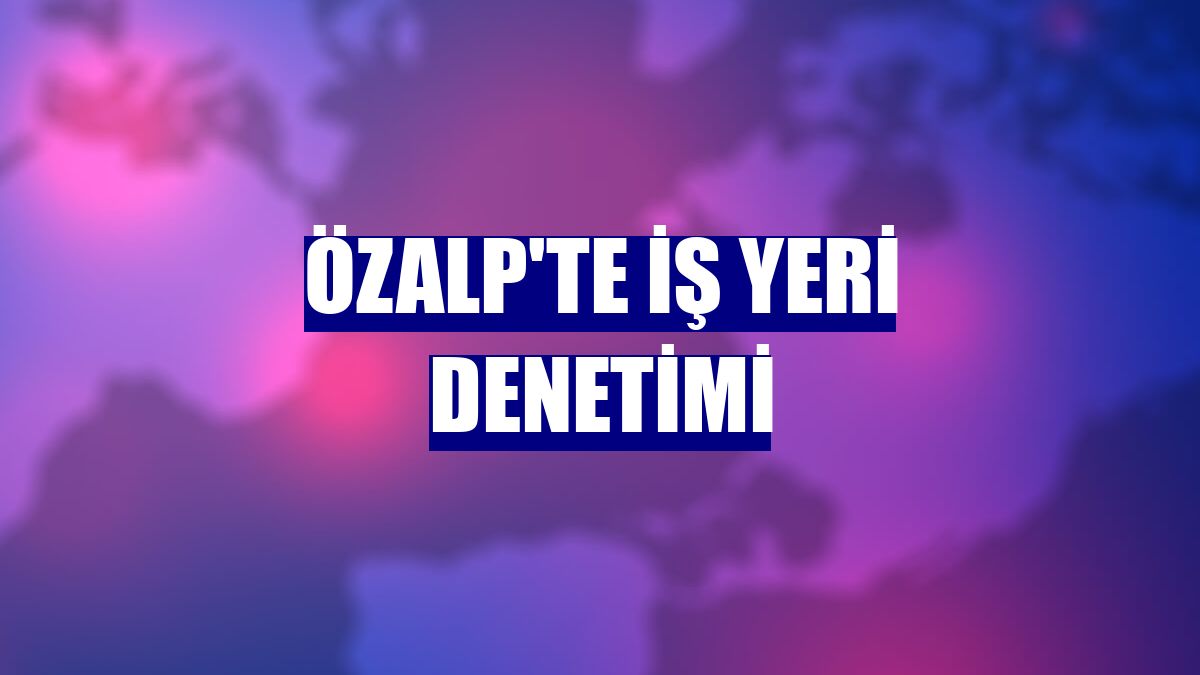 Özalp'te iş yeri denetimi