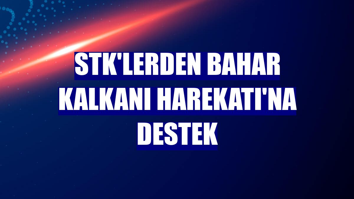 STK'lerden Bahar Kalkanı Harekatı'na destek