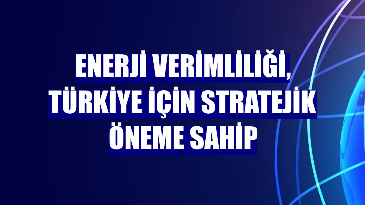 Enerji verimliliği, Türkiye için stratejik öneme sahip