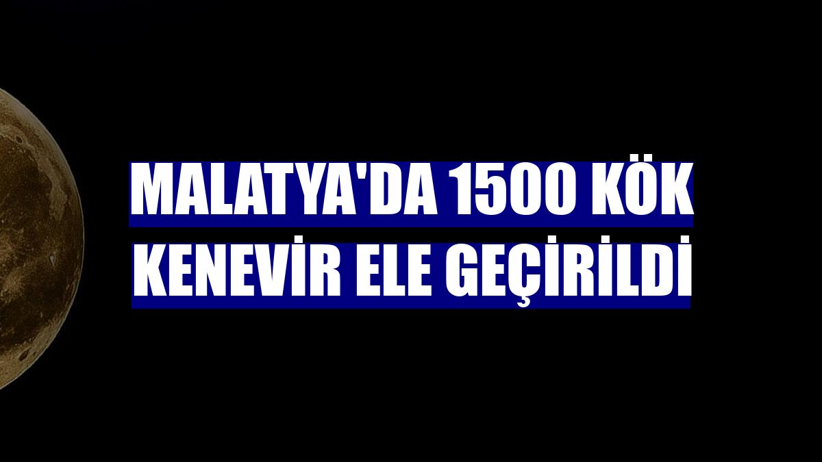 Malatya'da 1500 kök kenevir ele geçirildi