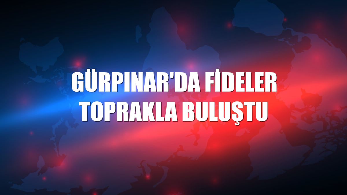 Gürpınar'da fideler toprakla buluştu