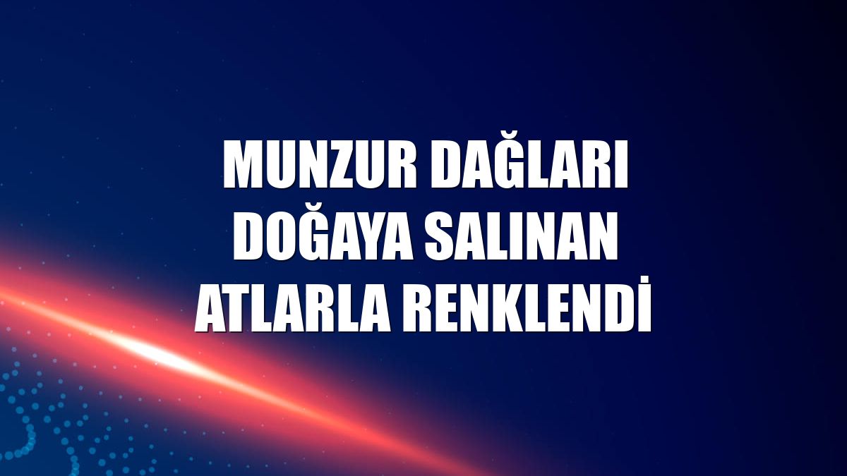 Munzur Dağları doğaya salınan atlarla renklendi