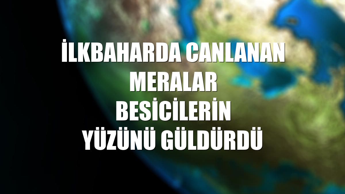 İlkbaharda canlanan meralar besicilerin yüzünü güldürdü