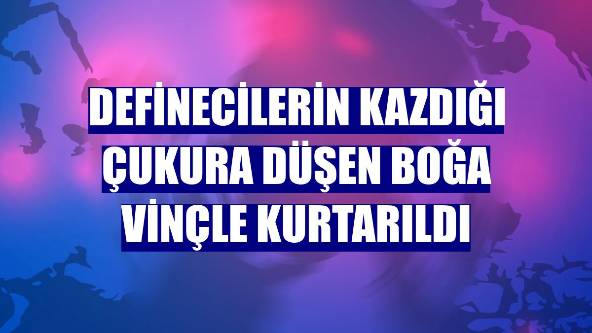 Definecilerin kazdığı çukura düşen boğa vinçle kurtarıldı