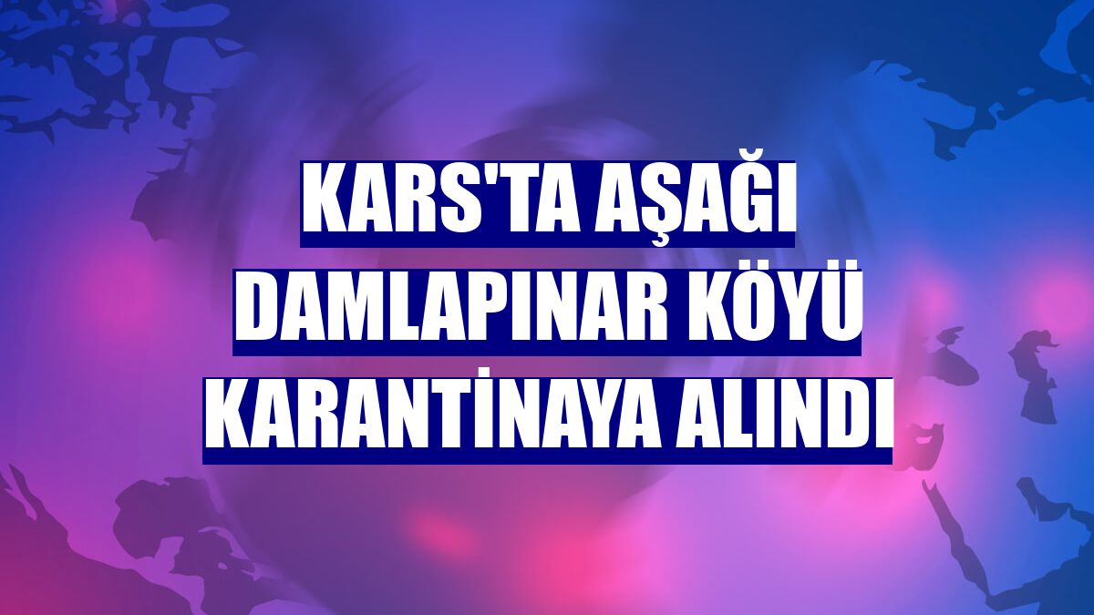 Kars'ta Aşağı Damlapınar köyü karantinaya alındı