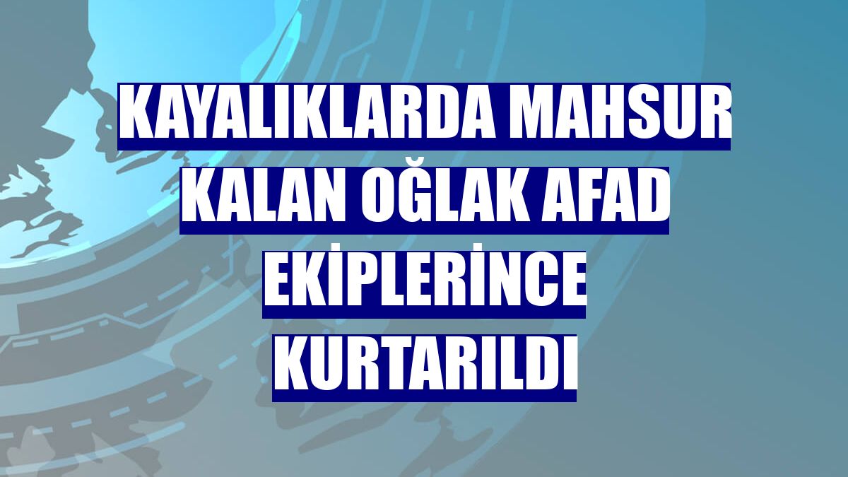 Kayalıklarda mahsur kalan oğlak AFAD ekiplerince kurtarıldı