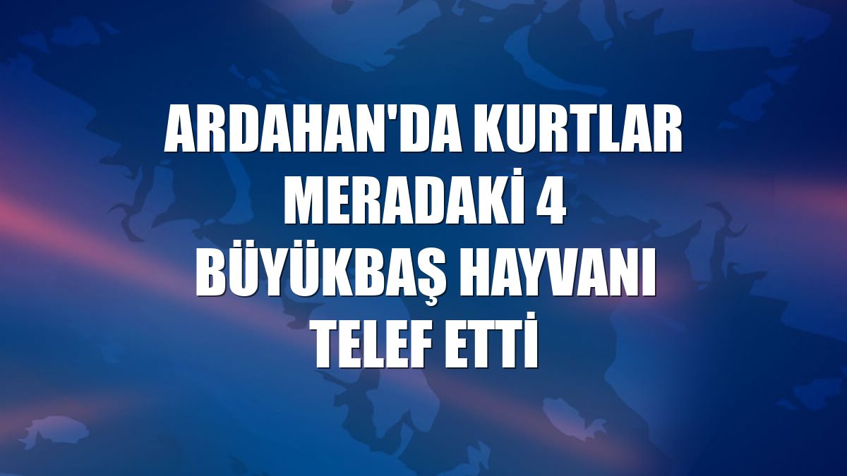 Ardahan'da kurtlar meradaki 4 büyükbaş hayvanı telef etti