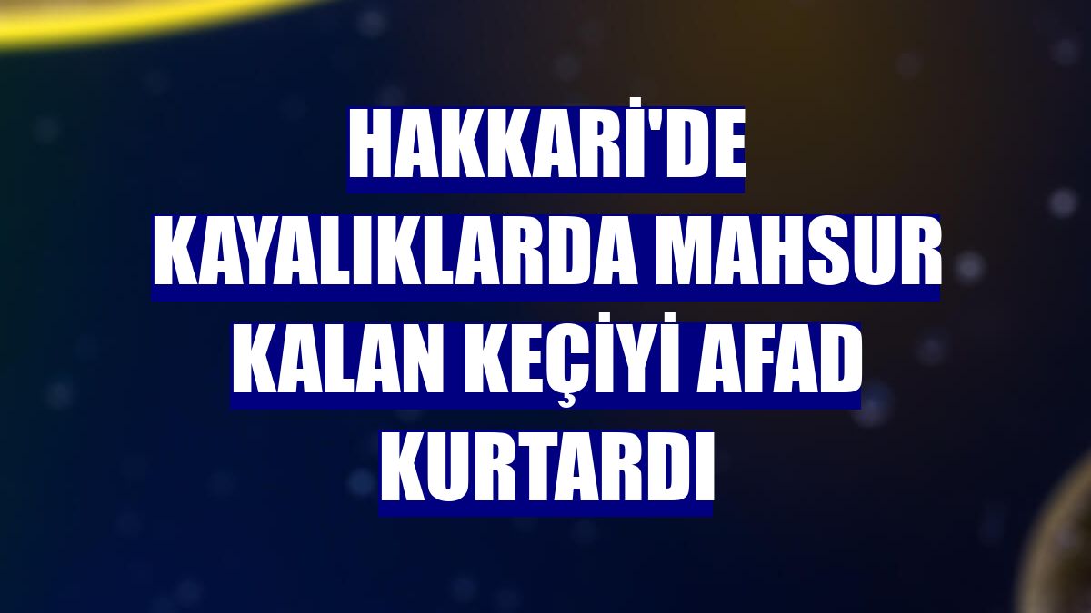 Hakkari'de kayalıklarda mahsur kalan keçiyi AFAD kurtardı