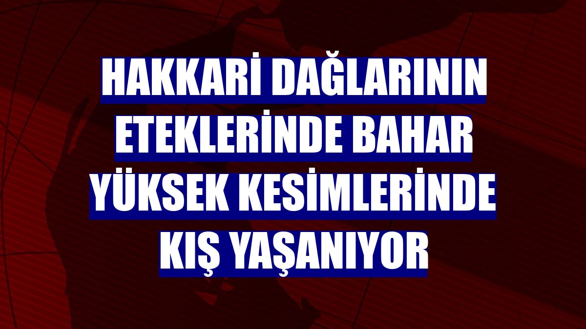 Hakkari dağlarının eteklerinde bahar yüksek kesimlerinde kış yaşanıyor