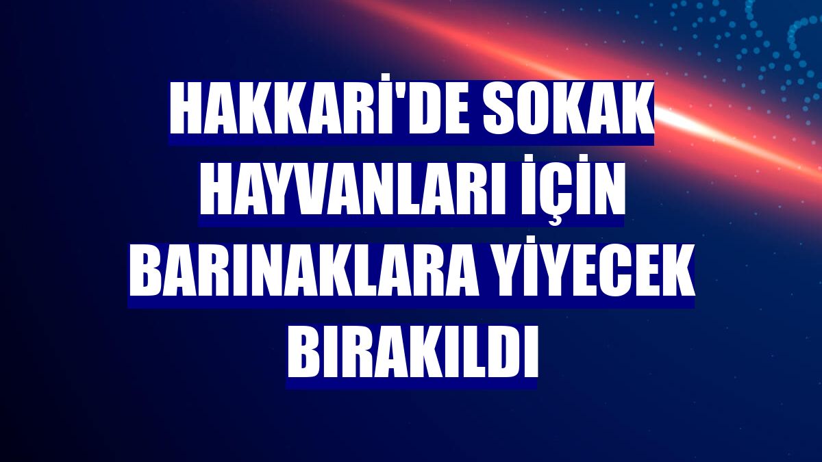 Hakkari'de sokak hayvanları için barınaklara yiyecek bırakıldı