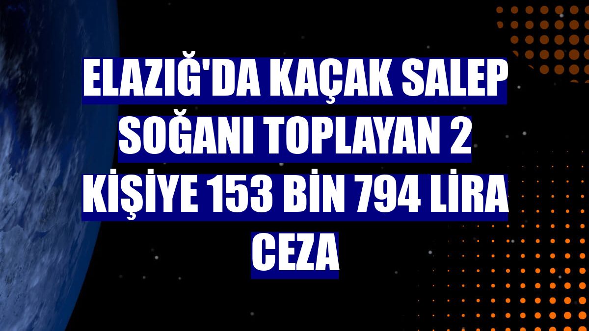 Elazığ'da kaçak salep soğanı toplayan 2 kişiye 153 bin 794 lira ceza