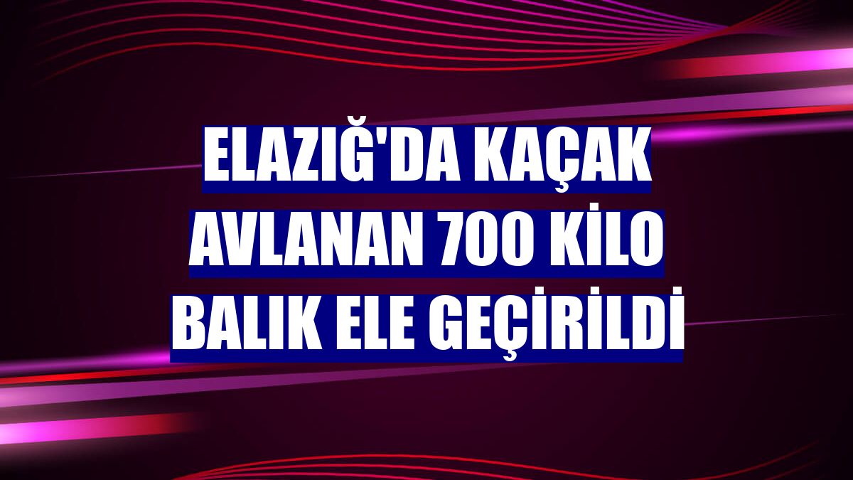Elazığ'da kaçak avlanan 700 kilo balık ele geçirildi