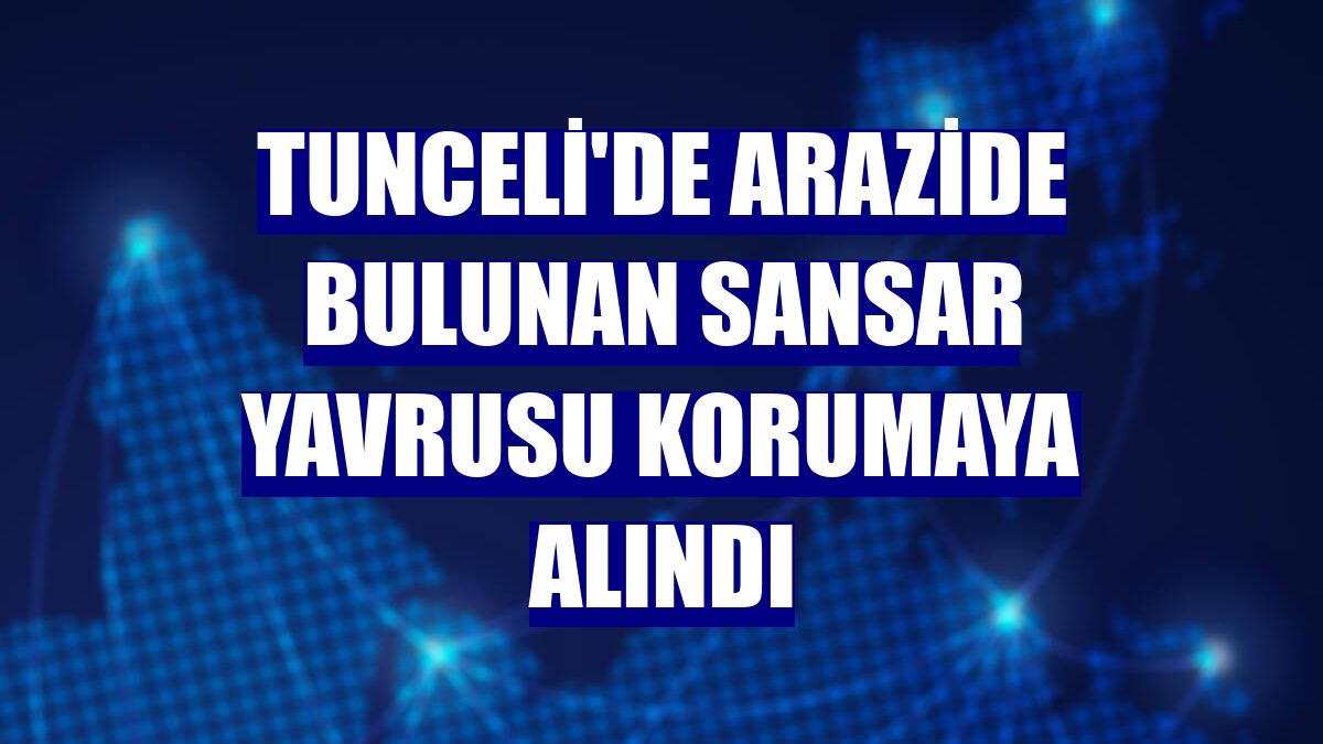 Tunceli'de arazide bulunan sansar yavrusu korumaya alındı