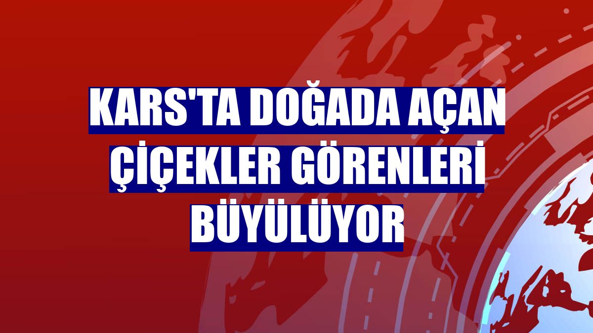 Kars'ta doğada açan çiçekler görenleri büyülüyor