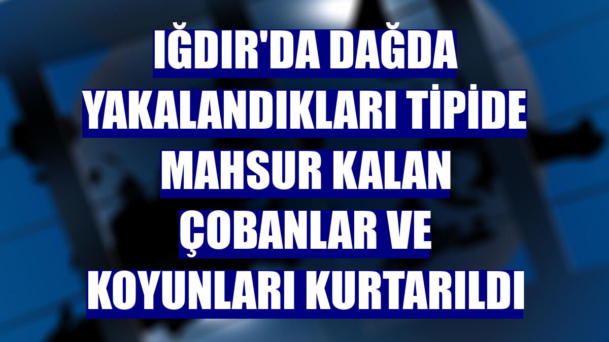 Iğdır'da dağda yakalandıkları tipide mahsur kalan çobanlar ve koyunları kurtarıldı