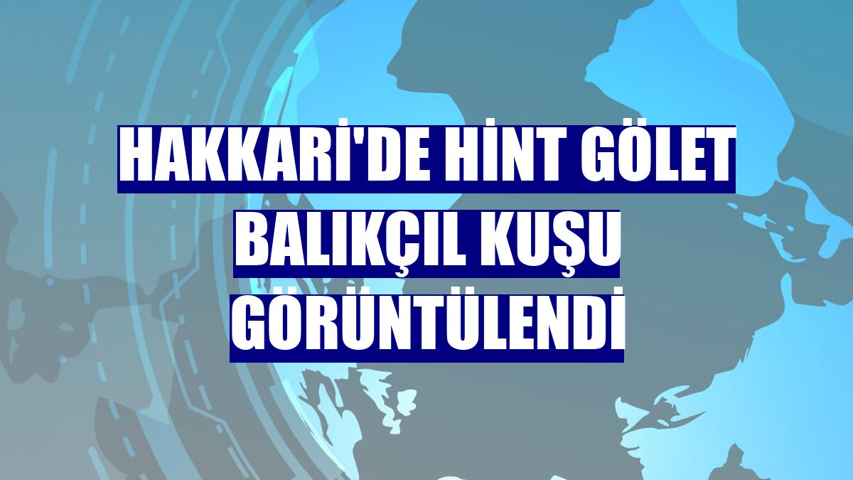 Hakkari'de Hint gölet balıkçıl kuşu görüntülendi