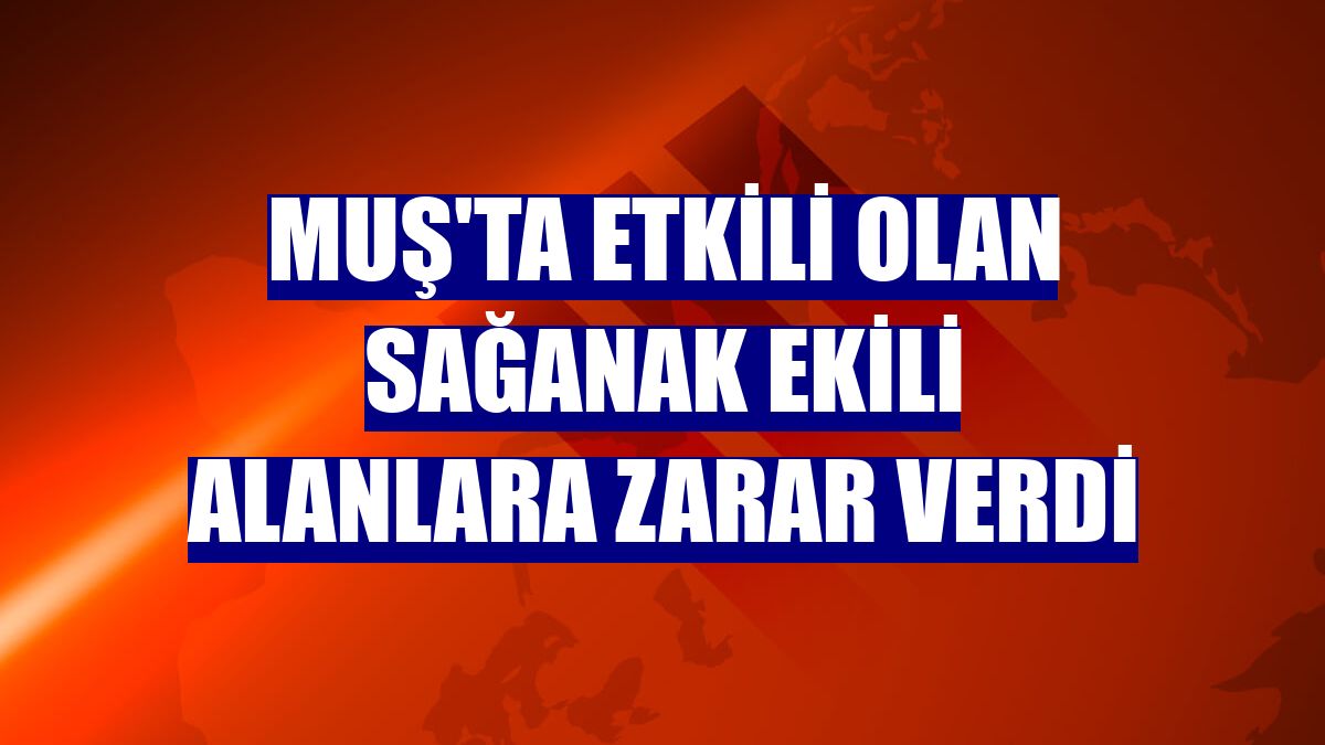 Muş'ta etkili olan sağanak ekili alanlara zarar verdi