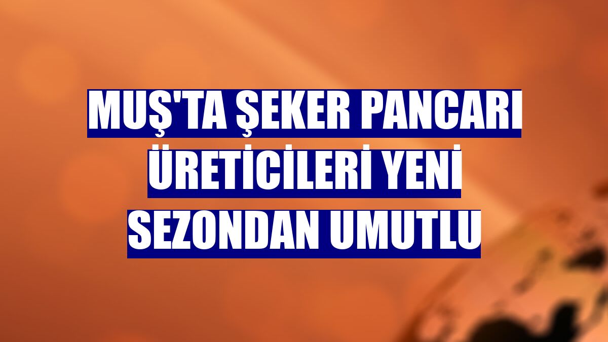 Muş'ta şeker pancarı üreticileri yeni sezondan umutlu