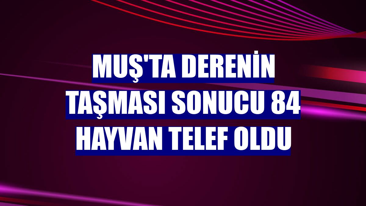 Muş'ta derenin taşması sonucu 84 hayvan telef oldu
