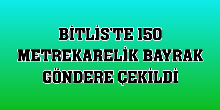 Bitlis'te 150 metrekarelik bayrak göndere çekildi