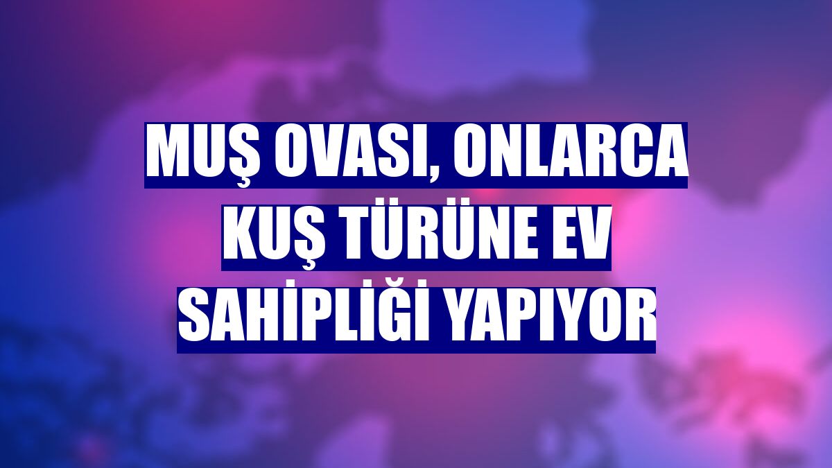 Muş Ovası, onlarca kuş türüne ev sahipliği yapıyor