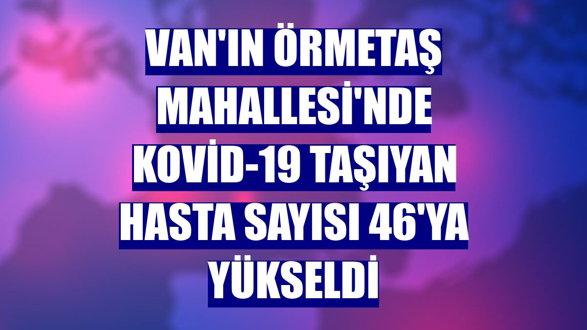 Van'ın Örmetaş Mahallesi'nde Kovid-19 taşıyan hasta sayısı 46'ya yükseldi