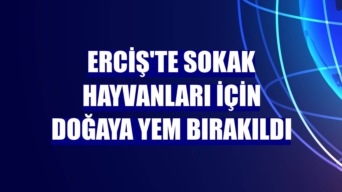 Erciş'te sokak hayvanları için doğaya yem bırakıldı
