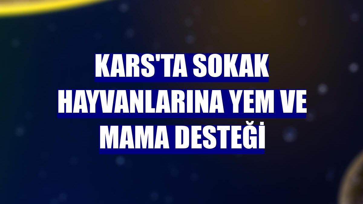 Kars'ta sokak hayvanlarına yem ve mama desteği