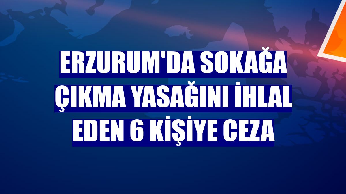 Erzurum'da sokağa çıkma yasağını ihlal eden 6 kişiye ceza