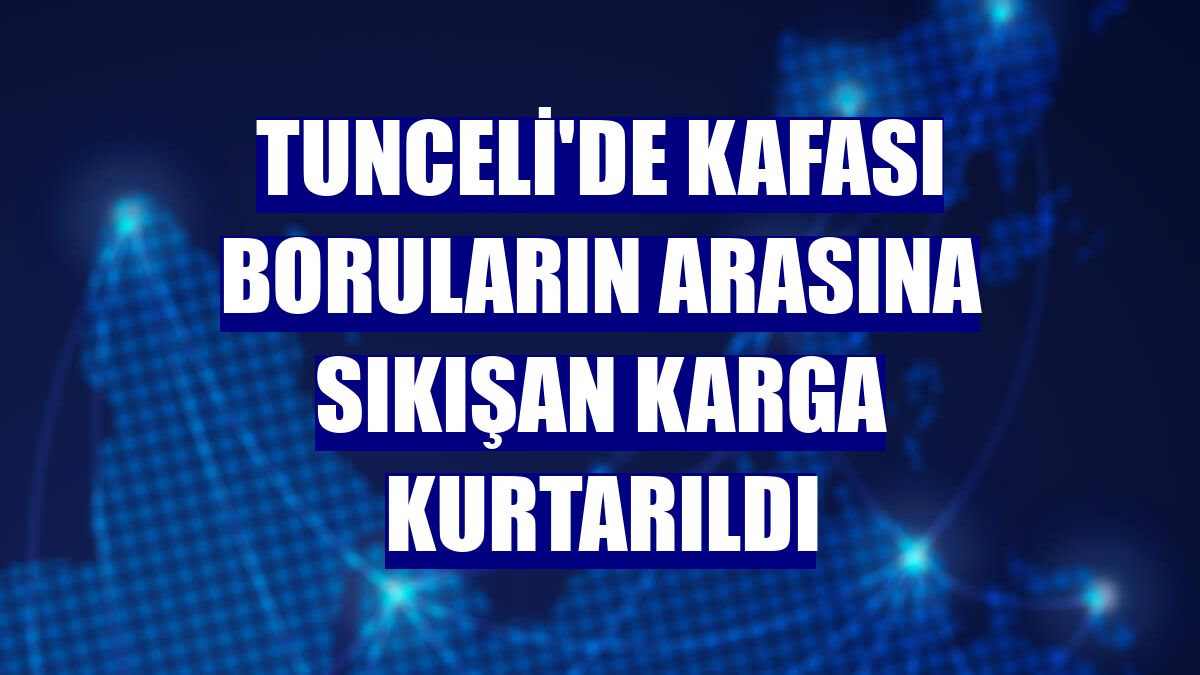Tunceli'de kafası boruların arasına sıkışan karga kurtarıldı