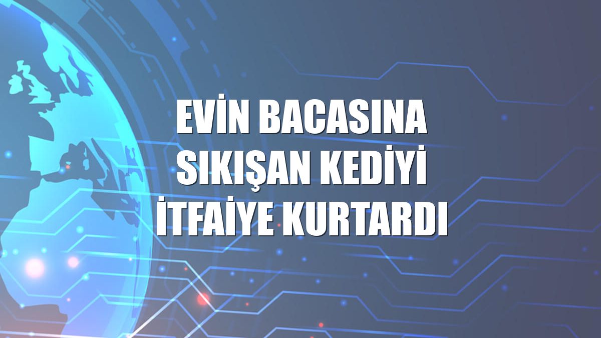 Evin bacasına sıkışan kediyi itfaiye kurtardı