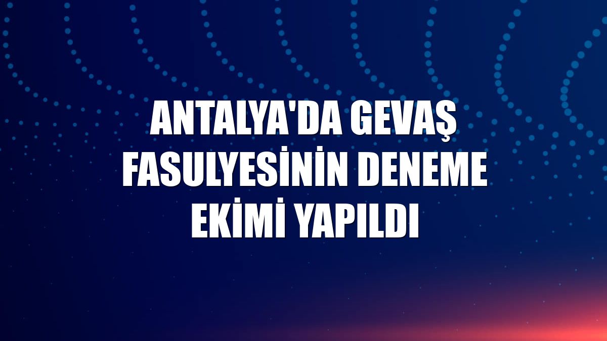 Antalya'da Gevaş fasulyesinin deneme ekimi yapıldı