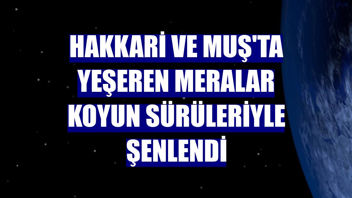 Hakkari ve Muş'ta yeşeren meralar koyun sürüleriyle şenlendi